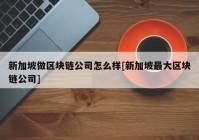 新加坡做区块链公司怎么样[新加坡最大区块链公司]